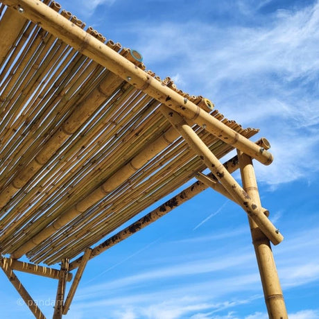 Pergola en bambou | En kit ou Sur Mesure