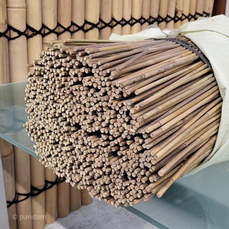 Tuteur bambou 60 cm à 400 cm