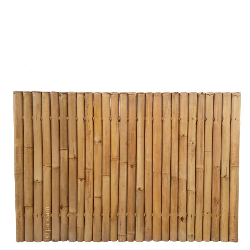 bambou palissade