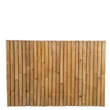 bambou palissade