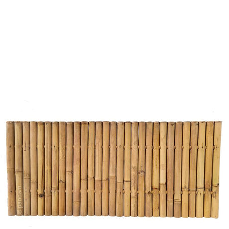 bambou panneau clair