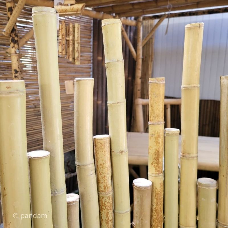 Clôture en bambou japonaise