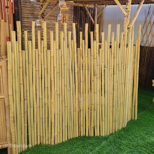 Rouleau de clôture en bambou irrégulière claire
