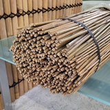 Tuteur en bambou 90 cm | Lot de 10 à 1000+ unités